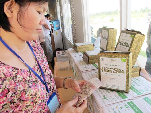 Gạo Việt có chứng chỉ toàn cầu Khách xem gạo hữu cơ Hoa Sữa. Ảnh: Trần Mạnh