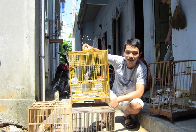 Sinh viên và thú chơi chim cảnh Thành - SV ĐH Kiến trúc Đà Nẵng chia sẻ bữa ăn và phòng trọ của mình cho 4 lồng chim. Ảnh: T.H