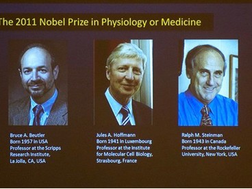 Ba nhà nghiên cứu giành giải Nobel Y học 2011 Ba nhà nghiên cứu giành giải Nobel Y học 2011