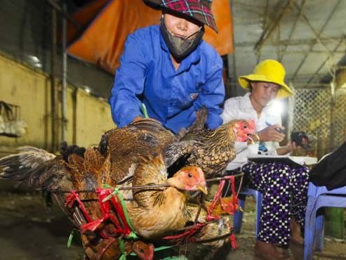 Thực phẩm bẩn nâng tầm thủ đoạn Thực phẩm bẩn nâng tầm thủ đoạn