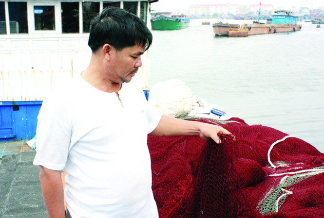 Trúng tiền tỷ, vẫn không ham Từ lưới vây, anh Hai chuyển sang câu mực năm 2011 thu 1,2 tỷ đồng vẫn bỏ để quay về lưới vây