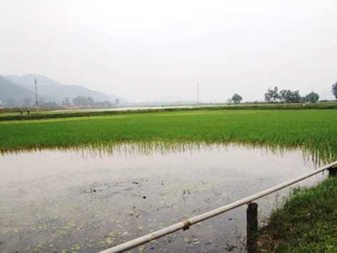 Người dân hoang mang sau cơn mưa 'lạ' Người dân hoang mang sau cơn mưa 'lạ'