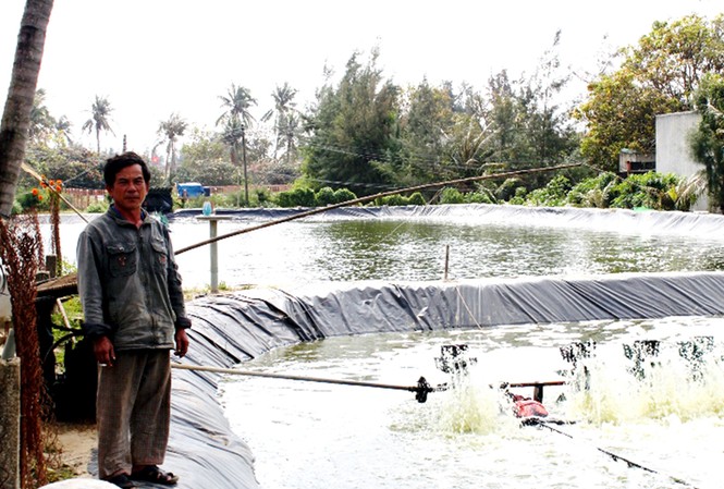 Đua nhau phá vườn, đào ao nuôi tôm Hồ tôm ông Giai bị mất trắng Ảnh: V.H