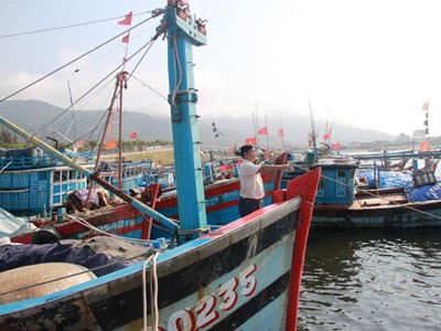 Đại gia đình Hoàng Sa Đại gia đình Hoàng Sa