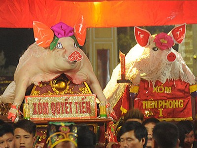 Ngôi làng coi lợn như vật báu Ngôi làng coi lợn như vật báu