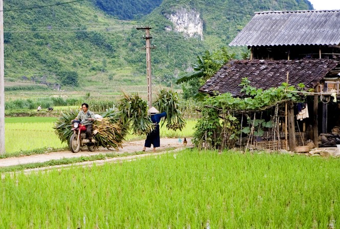 Nên xóa thời hạn giao đất nông nghiệp GS Võ nói, nếu không xóa bỏ thời hạn giao đất nông nghiệp, không thể kêu gọi đầu tư lớn từ người dân Ảnh: Hồng Vĩnh