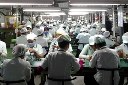 Cả ngàn cử nhân làm công nhân tại một doanh nghiệp Cả ngàn cử nhân làm công nhân tại một doanh nghiệp