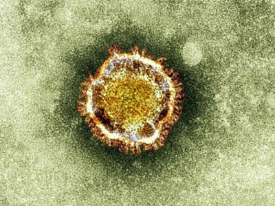 Virus mới tiếp tục giết người Virus mới tiếp tục giết người