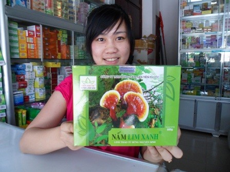 Cách sử dụng nấm lim xanh Tiên Phước chữa ung thư và các bệnh nan y Cách sử dụng nấm lim xanh Tiên Phước chữa ung thư và các bệnh nan y