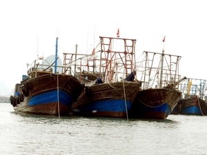 Tàu cá Việt Nam bị 'xua đuổi' ngay tại Hoàng Sa Tàu cá Việt Nam bị 'xua đuổi' ngay tại Hoàng Sa