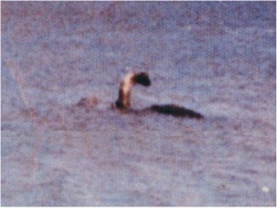 Những 'họ hàng' của quái vật hồ Loch Ness Những 'họ hàng' của quái vật hồ Loch Ness