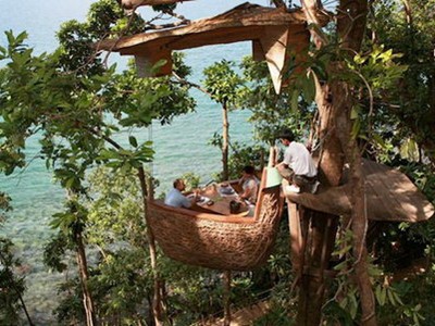 Độc đáo nhà hàng trên cây Độc đáo nhà hàng trên cây