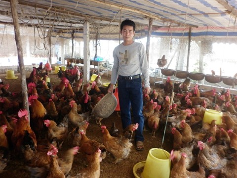Cả người nuôi và người tiêu dùng đều thiệt Cả người nuôi và người tiêu dùng đều thiệt
