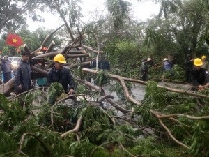 Trung tâm TPHCM thiệt hại nặng sau bão số 1 Thu dọn cây đổ do ảnh hưởng bão tại TP.HCM. (Ảnh: Thanh Vũ/TTXVN)