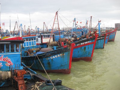 Nhật muốn đóng tàu lớn cho ngư dân miền Trung Nhật muốn đóng tàu lớn cho ngư dân miền Trung