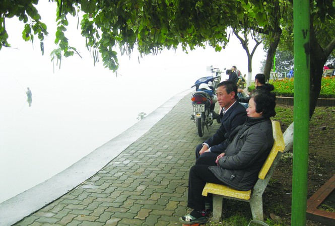 Hồ Tây nguy cơ Bà Viên cùng chồng ngồi ở nơi năm xưa, vợ chồng bà thường vớt tôm tép dưới các tán lá sen Hồ Tây