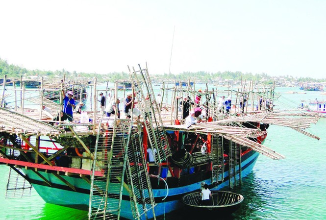 Cá lạ Trường Sa Dựng giàn phơi mực trước giờ xuất bến. Ảnh: Hải Anh