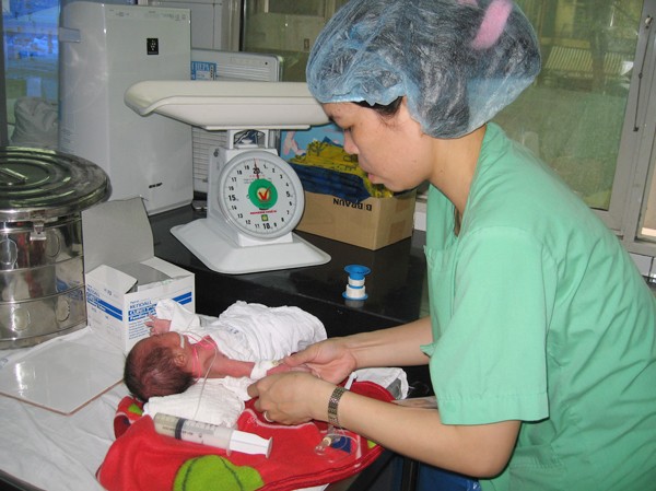 Vốn quý từ ngân hàng máu cuống rốn Trẻ nhẹ cân bị bệnh về máu có thể được điều trị bằng cách ghép máu cuống rốn. Ảnh: T.Hà
