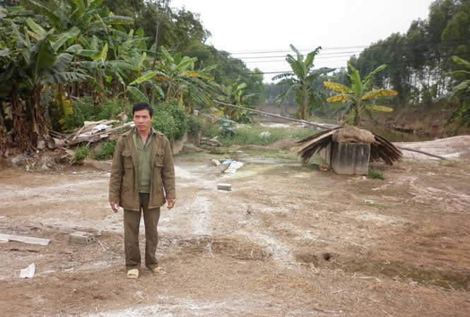 Hà Nội giấu dịch Ông Nguyễn Trọng Túc đứng bần thần bên lán vịt đã tháo dỡ sau khi tiêu hủy Ảnh: Phạm Anh