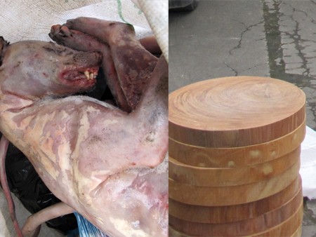 Xe khách chở gần 40kg cầy hương, 30 thớt gỗ nghiến Cầy hương và thớt nghiến bị cơ quan chức năng phát hiện trên xe khách từ Hà Nội lên Lạng Sơn sáng 29-3