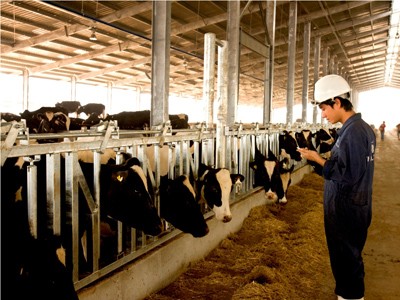 Ra mắt sản phẩm đầu tiên TH true MILK Ra mắt sản phẩm đầu tiên TH true MILK
