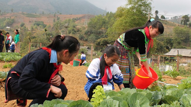 Vườn rau của em Những vườn rau xanh tốt của học trò vùng cao Yên Bái. Ảnh: Duy Ngợi.