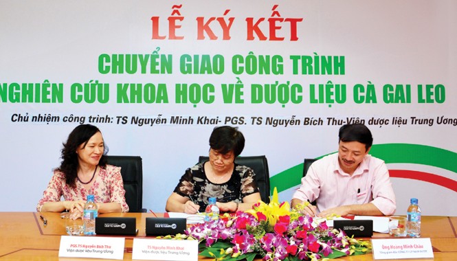 Chuyển giao thành công đề tài nghiên cứu cấp nhà nước về thảo dược hỗ trợ điều trị viêm gan virus Chuyển giao thành công đề tài nghiên cứu cấp nhà nước về thảo dược hỗ trợ điều trị viêm gan virus