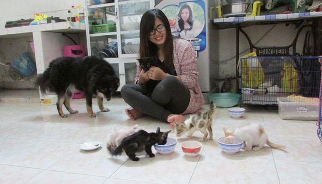 Đội cứu trợ động vật Đà Nẵng Nhà của Trần Thị Phương Thúy (22 tuổi, thành viên của đội) đang lưu giữ 1 chú chó, 2 mèo mẹ, 5 mèo con. Sau khi chăm chúng khỏe mạnh Thúy sẽ tìm chủ nhận chúng về nuôi.
