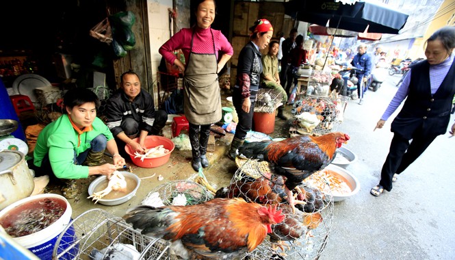 Tràn lan thịt bơm nước, dấu kiểm dịch giả Giết mổ gia cầm công khai tái diễn tại nhiều chợ ở Hà Nội. Ảnh: N.Tú.