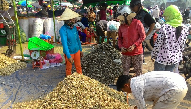 Giá thực phẩm rục rịch tăng Củ kiệu là mặt hàng không giảm giá, còn có xu hướng tăng trong thời gian cận Tết. Ảnh: Việt Văn.