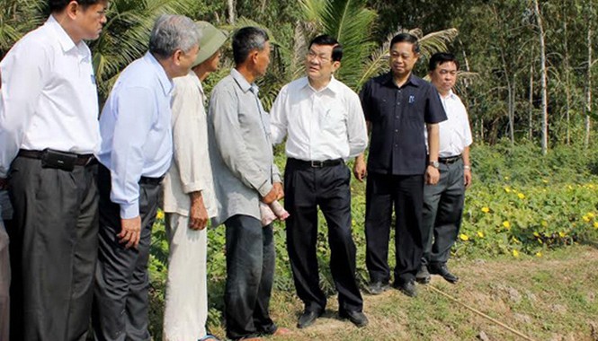Chủ tịch nước Trương Tấn Sang làm việc tại An Giang Chủ tịch nước xem xét "Cánh đồng lớn" ở ấp Tân Biên, xã An Nông. Ảnh: Thanh Hải