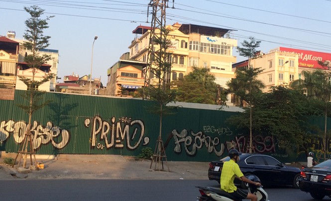 Hà Nội trồng 1 triệu cây xanh: Không thể cứ “có đất là trồng” Những cây xanh vừa được trồng dưới đường dây lưới điện cao thế ở đường Trần Quang Khải.
