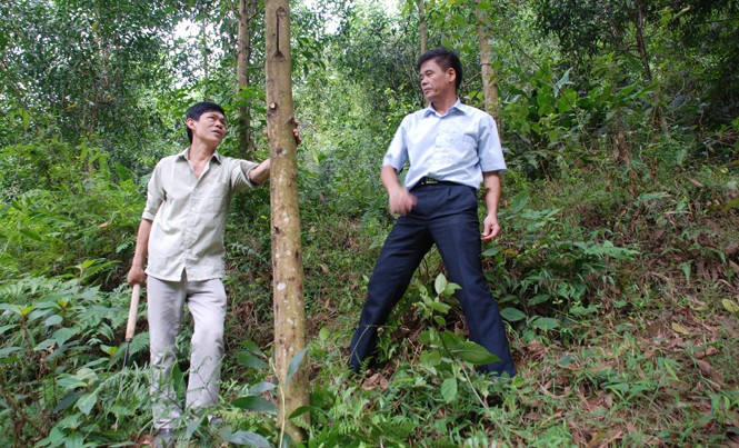Ai thao túng đất nông lâm trường? - Bài cuối: “Nhóm lợi thế” thâu tóm Chính phủ yêu cầu rà soát toàn bộ với diện tích đất có nguồn gốc đất nông lâm trường, trong đó có cả diện tích đất giao cho cá nhân, hoặc địa phương đang quản lý.