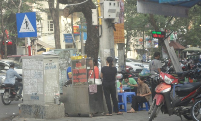 'Vô tư' bên trạm biến áp 'Vô tư' bên trạm biến áp