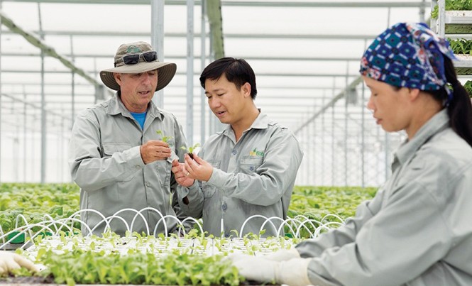 Vượt lên nền nông nghiệp 'cơ bắp' Mô hình nông nghiệp công nghệ cao của tập đoàn VinGroup. Ảnh: Bình Phương.