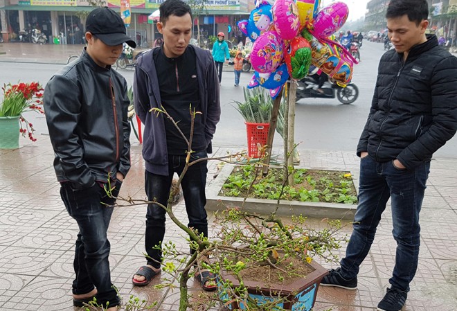 Nỗi niềm sinh viên làm thêm dịp Tết Sinh viên Phan Văn Tú (ngoài cùng bên phải) đang giới thiệu hoa cho khách. Ảnh: NVCC.