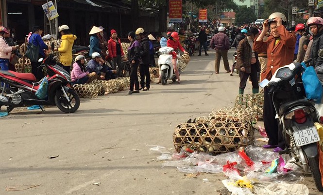 Họp bàn chống đại dịch cúm A/H7N9: Không quay lưng với gà, vịt truyền thống Lo ngại cúm, tình hình buôn bán, tiêu thụ gà, vịt sống kém sôi động trên thị trường Lạng Sơn. Ảnh: Duy Chiến.