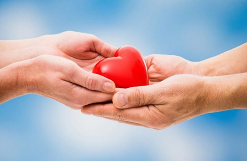 Chủ tịch nước gửi Thư khen cô gái hiến tạng mẹ ruột để cứu người Ảnh minh hoạ: Internet