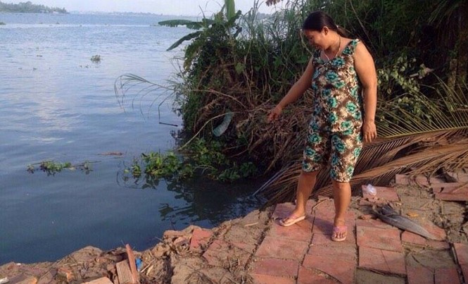 Liên tiếp sạt lở ven sông Tiền giữa mùa khô Bà Hằng chỉ nơi sạt lở đất trưa 7/4 khiến 3 căn nhà bị phá hủy.