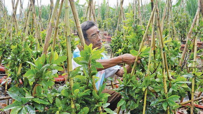 Ăn ngủ 'cùng mai Tết' Ăn ngủ 'cùng mai Tết'