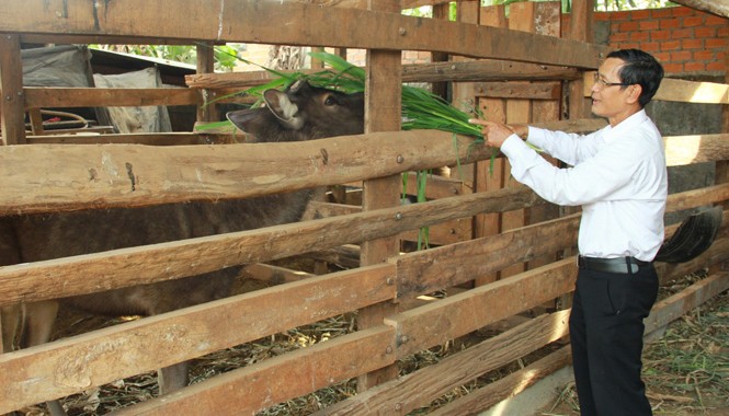 Khóc với đàn nai ngơ ngác ở Cư Êbur Nai ăn đơn giản cỏ và lá cây