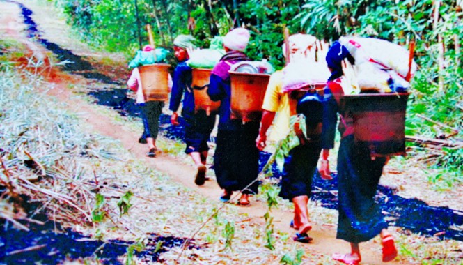 Gặp “kỳ nữ” sim Măng Đen Sơn nữ gùi sim về làng