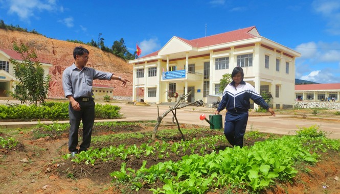 Giáo viên vùng cao “nghe Tết mà... tủi!” Thầy trò vùng cao cùng trồng rau cải thiện bữa ăn