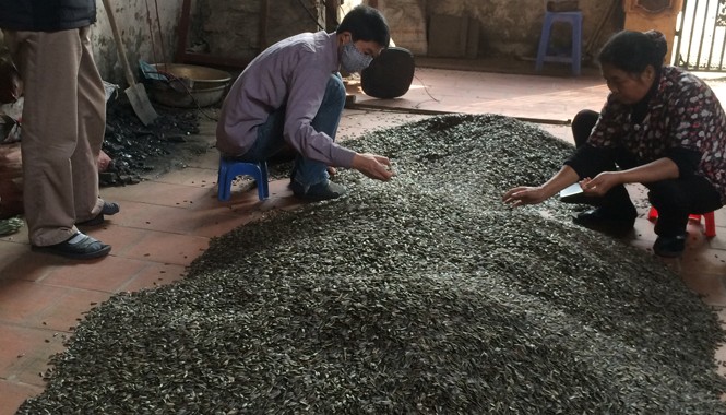Đột nhập làng bánh kẹo siêu rẻ giữa Hà Nội Hạt hướng dương đổ ngay trên nền gạch.