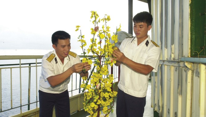DK1 - Xuân đến sớm Chuẩn bị cành mai đón xuân về. Ảnh: DK1