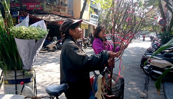 Đào, quất Tết ở Hà Nội: Được mùa, được giá Đào được rao bán trên phố cổ Hà Nội (ảnh chụp sáng 29/1 trên phố Hàng nón). Ảnh: Ngọc Châu