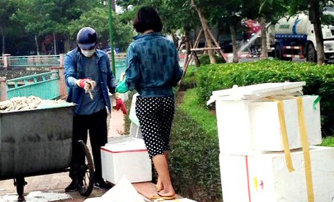 Điều tra việc lấy cá chết hồ Tây đóng vào thùng xốp Hình ảnh đôi nam nữ lấy cá chết ở hồ Tây cho vào thùng xốp. Ảnh người dân cung cấp
