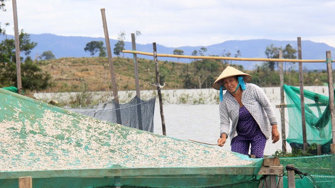 Làng chài trên núi Người dân phơi cá