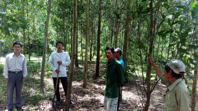 Dân trồng rừng lo lắng trước thông tin thu hồi đất Người dân xã Cam Tuyền lo lắng, bức xúc trước thông tin thu hồi đất rừng. Ảnh: H.T