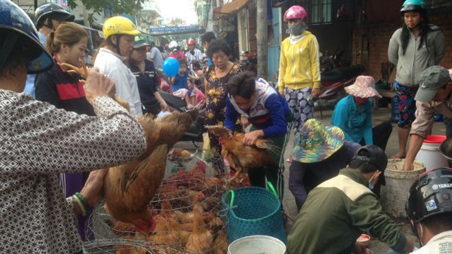 Lơ là với dịch cúm gia cầm Gia cầm được bày bán tràn lan ở các chợ tự phát.